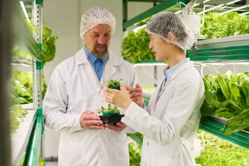 Nutritional Sciences